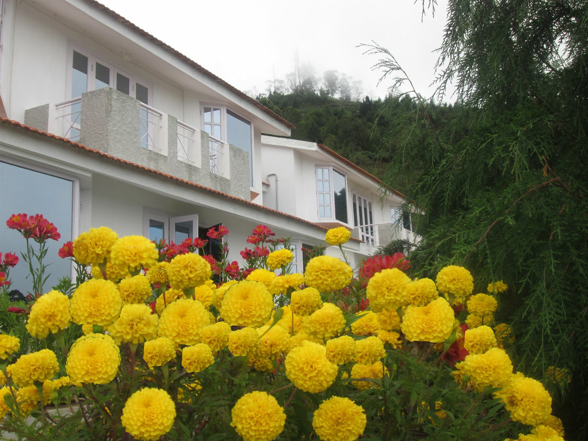 Country Club Valley Vista Kodaikanal Zewnętrze zdjęcie